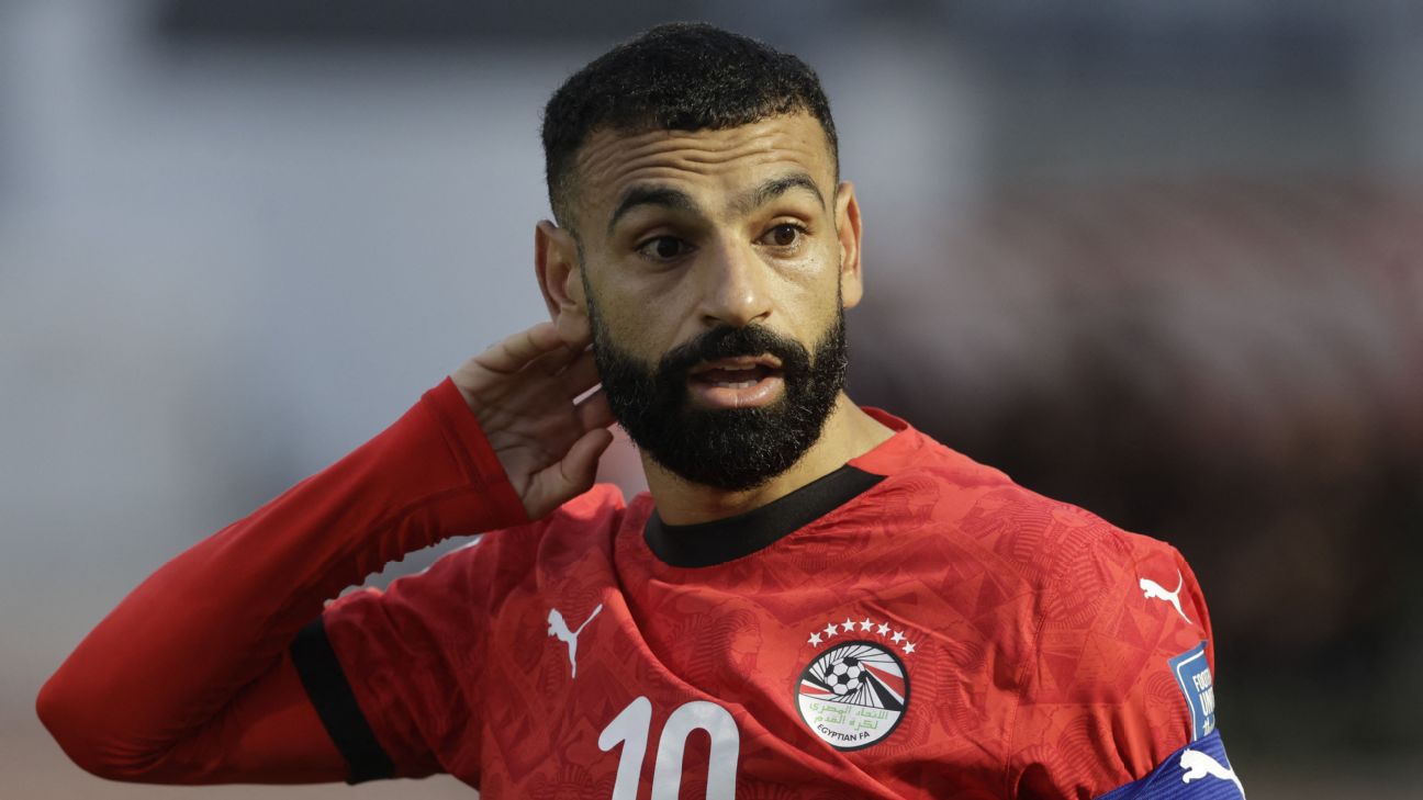 FIFA要求埃及世界杯球衣移除七颗星 标识需调整